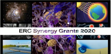 Erc Synergy Grants 2020